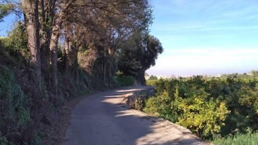 El Camí d l&#039;Alquerieta, entre Miramar y Guardamar.