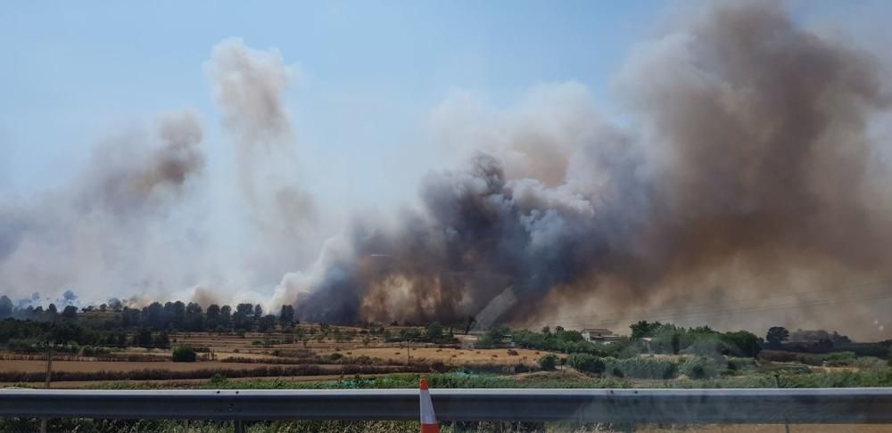 Incendi forestal a Sant Fruitós de Bages