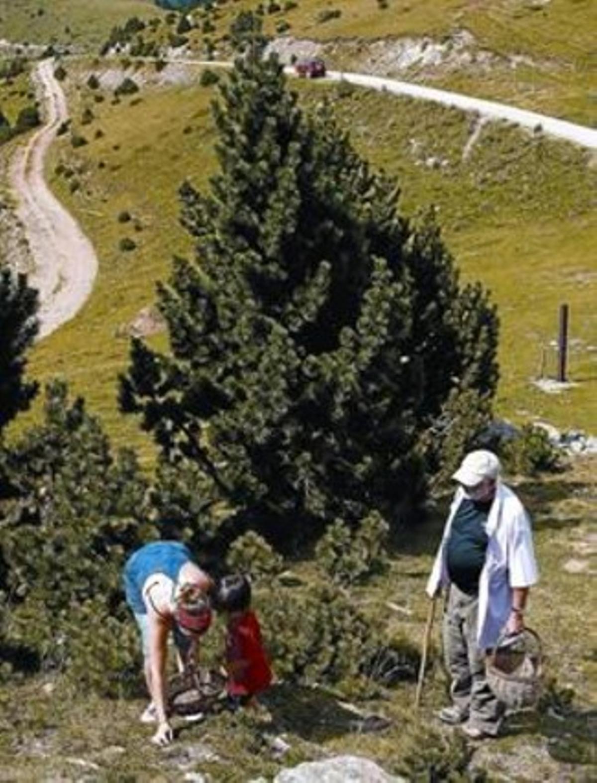 Albert Nou, la seva filla Meritxell i el seu nét, Yacu, al Ripollès, la setmana passada. Albert Nou, la seva filla Meritxell i el seu nét, Yacu, al Ripollès, la setmana passada.