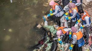 Unos voluntarios recogen plásticos en aguas del río Nilo, cerca de El Cairo.