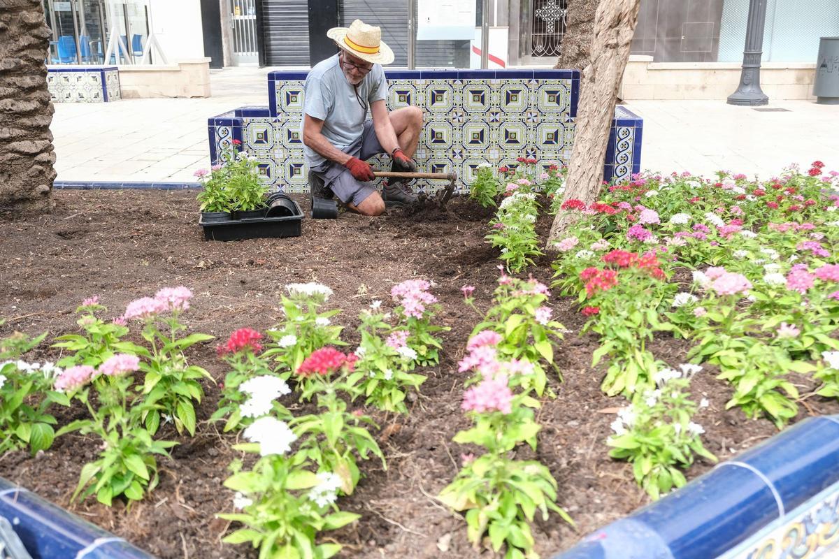 Un trabajador de mantenimiento de parques y jardines, en plena Glorieta de Elche