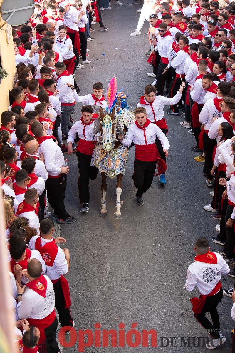 Caballos del Vino en la cuesta de la Simona