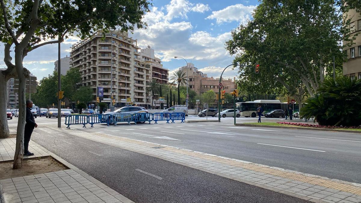 La Policía Local de Palma ha cortado al tráfico la zona afectada