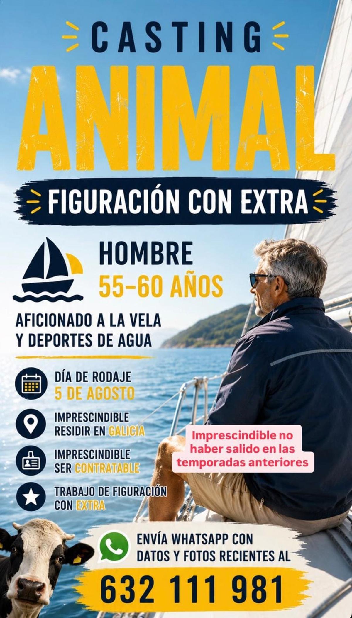 Proceso de selección de figurantes para los nuevos capítulos de 'Animal', serie de Netflix ambientada en Santiago y alrededores.