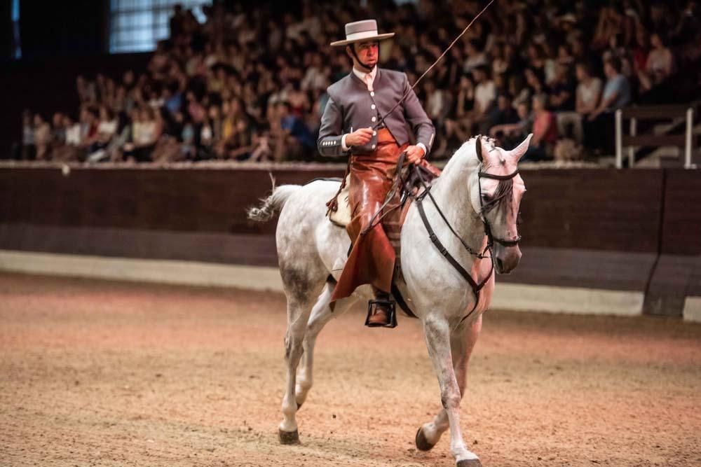 Así bailan los caballos cordobeses en Eslovenia