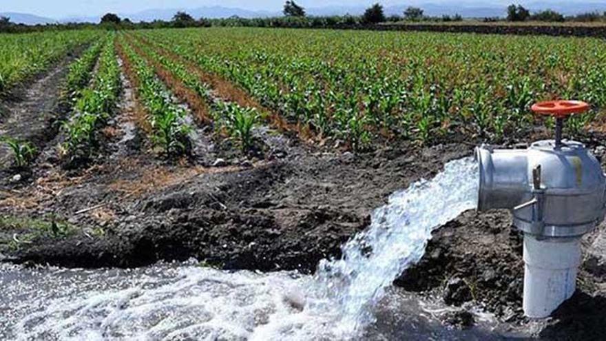 Juan López Pérez (CR El Porvenir): «La desalinización no puede ser la solución a la falta de recursos hídricos en el futuro»