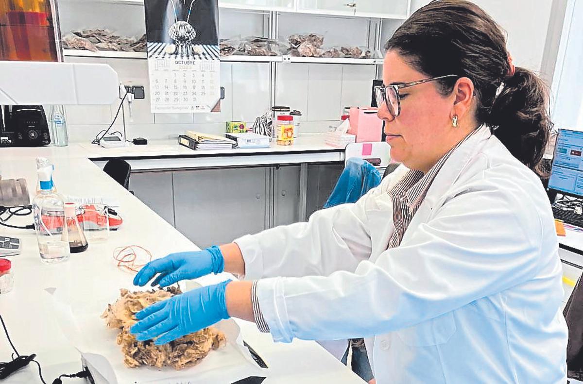 Carmen Camarero, investigadora principal, con las aguas de lavado.