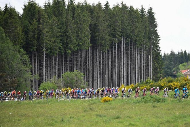 El peloton se desplaza durante la segunda etapa de la 71ª edición de la carrera ciclista Criterium du Dauphine, a 180 km entre Mauriac y Craponne-sur-Arzon.