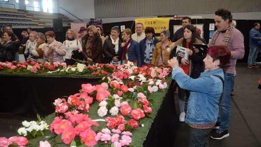 La Mostra da Camelia alcanza su quinta edición en Vilanova de Arousa, uno de los municipios más volcados con el culto a esta efímera flor. // Noé Parga