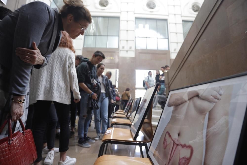 Exposición sobre 'bodypainting' en la Facultat de Medicina