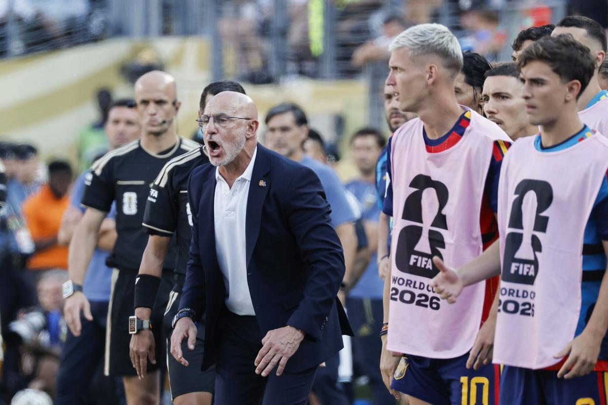 Luis de la Fuente, seleccionador español