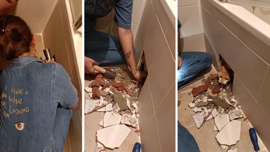 Revienta la pared del cuarto de baño arreglada horas antes porque los obreros se dejaron dentro a su gato