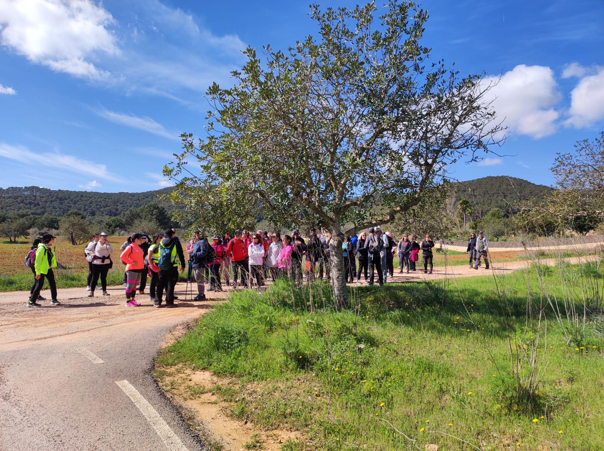 Reivindicación de los caminos públicos de Ibiza