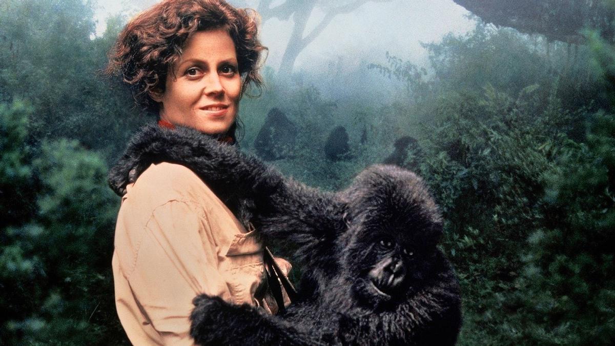 Sigourney Weaver en &#039;Gorilas en la niebla&#039;.