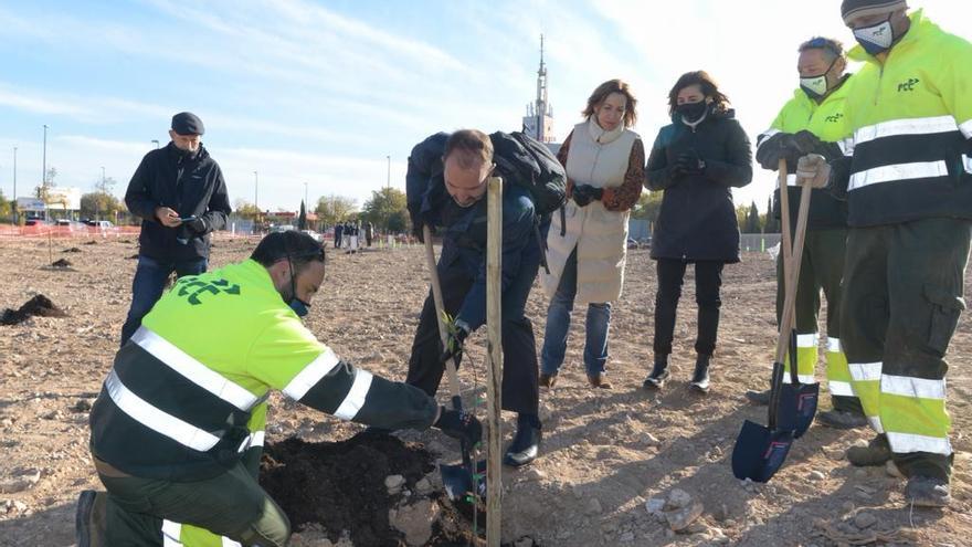 Plantación de los primeros ejemplares del Bosque de los Almendros.