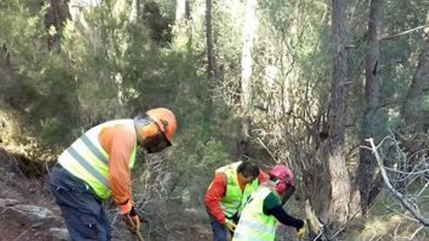 Onda inicia la Brigada Verde Municipal