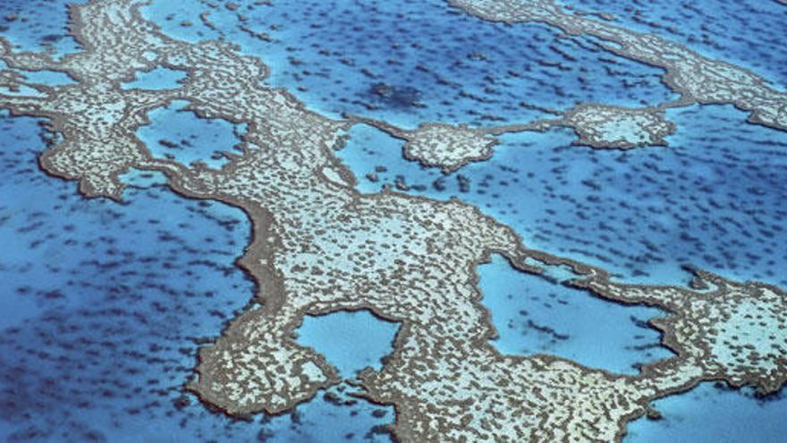 La Gran barrera coralina en Australia.