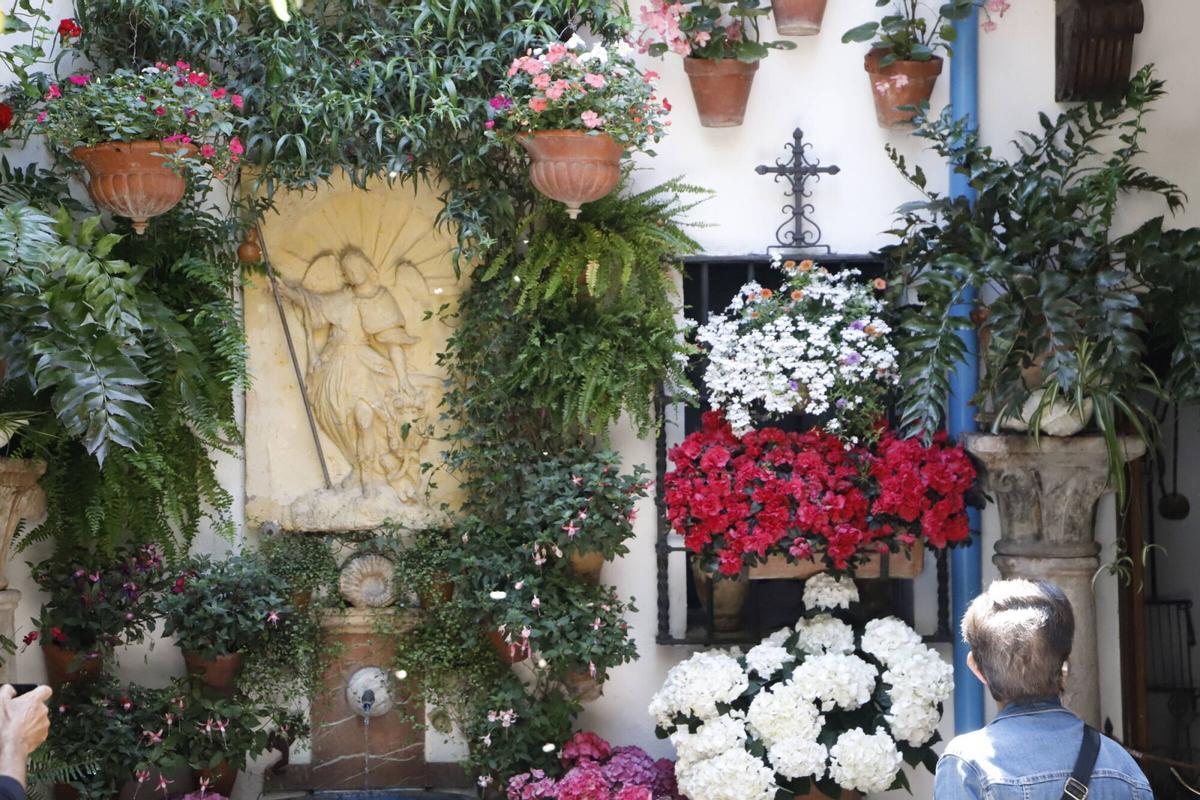 La ruta de los patios de San Lorenzo, en imágenes