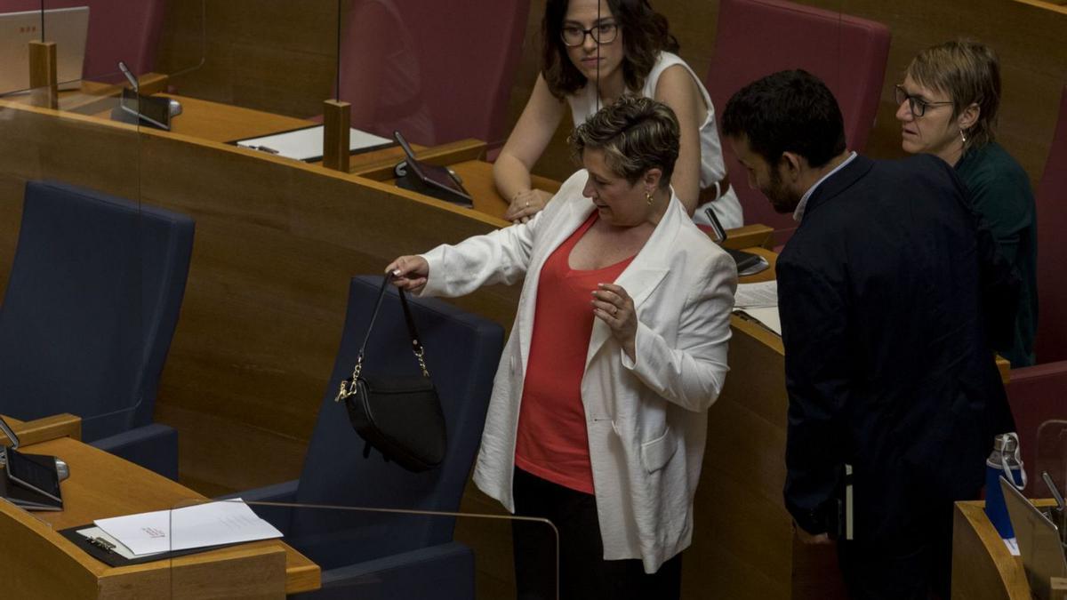 El diputat Marzà acompanya la consellera Raquel Tamarit a l’escó | F.BUSTAMANTE
