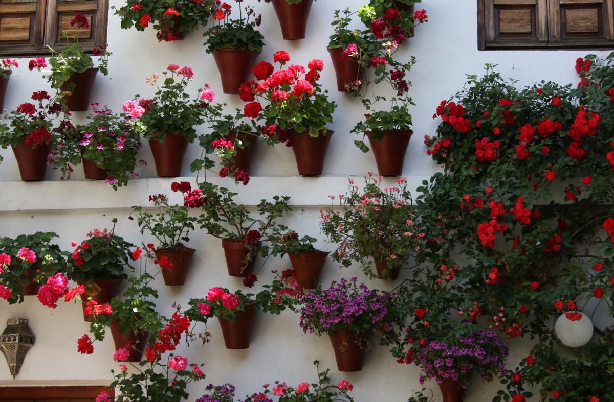 Paseando por los patios de la Judería