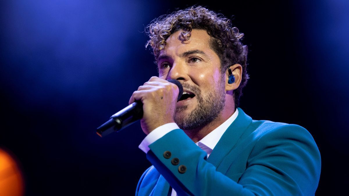 David Bisbal.