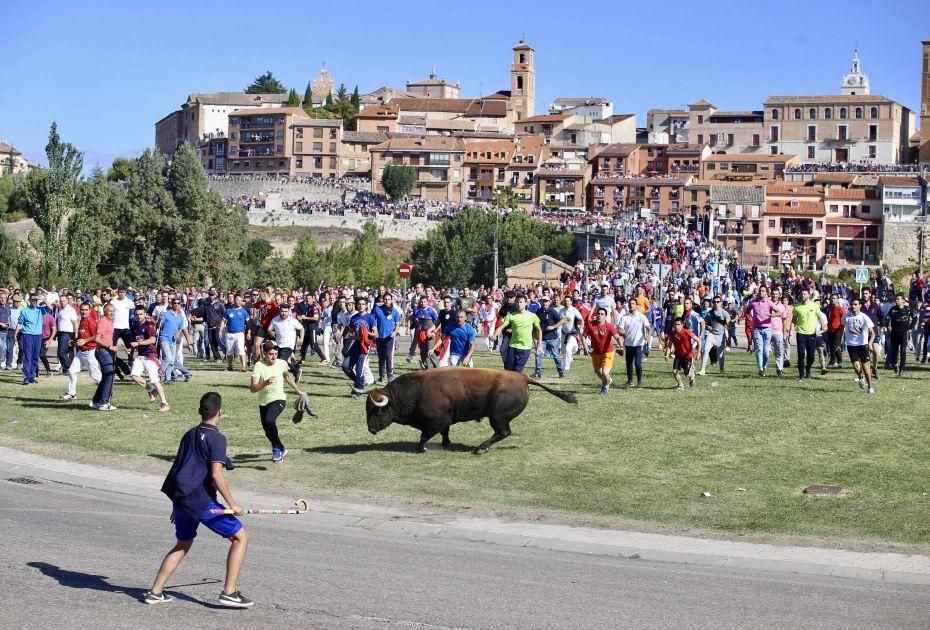 Celebración del Toro de la Vega en Tordesillas