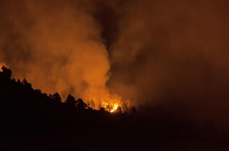 Incendio forestal en la zona de Montaña de Jedey