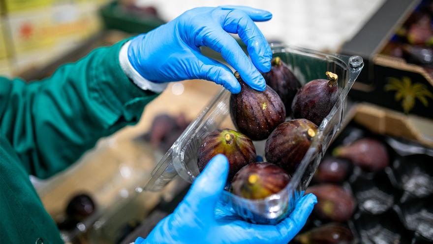 Mercadona compra 1.550 toneladas de brevas e higos a proveedores de Alicante