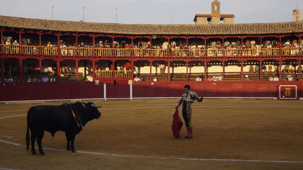 Ismael Martín abrió la triple puerta grande de la plaza de toros de Toro junto a sus compañeros de terna, Alejandro Talavante y Tomás Rufo, en un encierro de presencia y juego desigual de El Vellosino