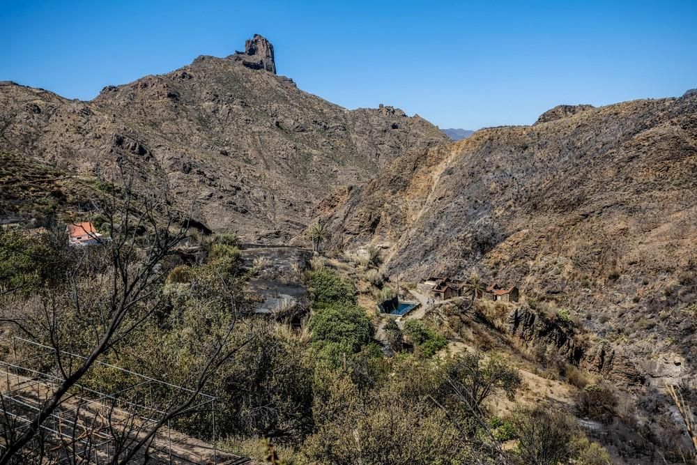 Tejeda tras el incendio