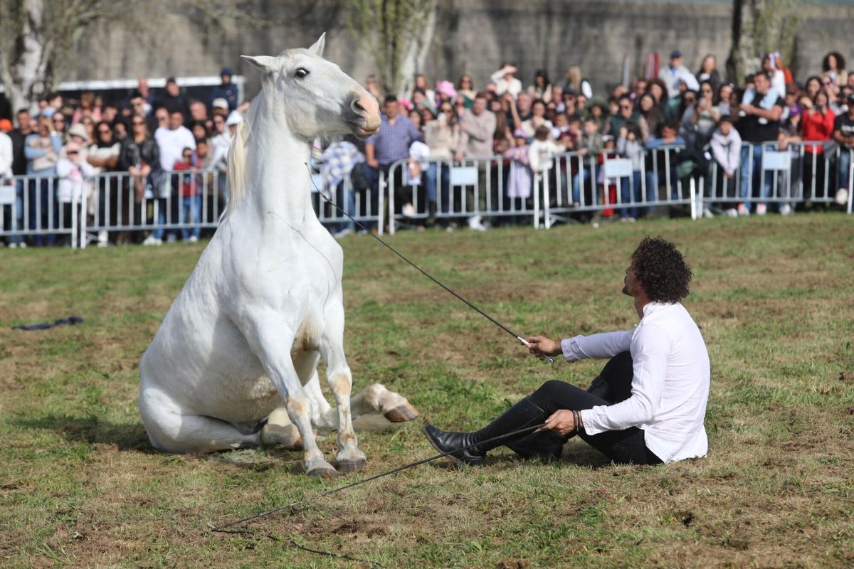 La XXXV Feira do Cabalo de Lalín cerró ayer su segunda y última jornada con una notable afluencia de público