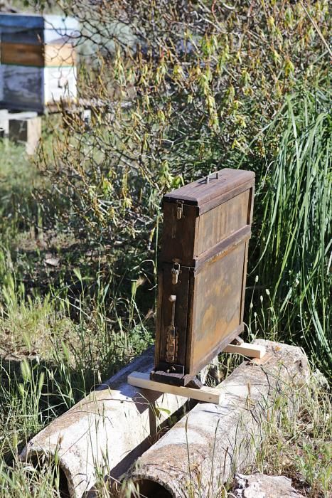 Der Regen im Mai hat den Pflanzen einen zweiten Frühling und den Bienen Pollen sowie Nektar beschert. Der Imker Gori Lladó umsorgt sie und experimentiert mit ökologischen Methoden und neuen Formen für