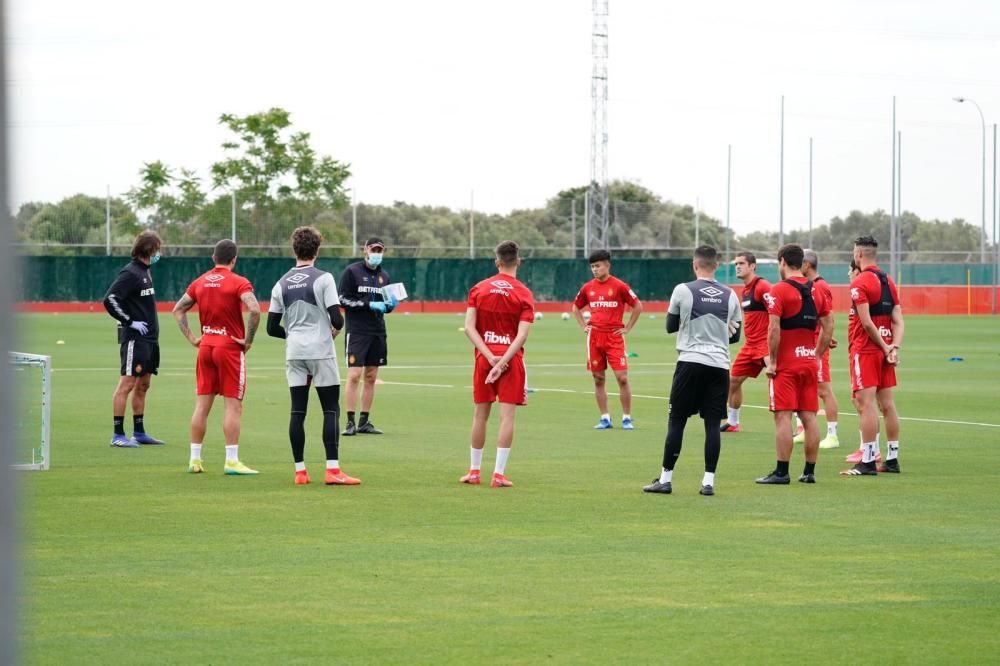 Entrenamiento del Malloca en Son Bibiloni