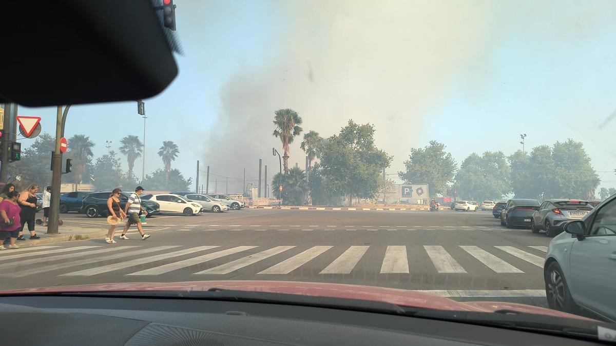 Un aparatoso incendio junto al Oceanogràfic y la autovía del Saler obliga a cortar el tráfico de entrada y salida a la ciudad