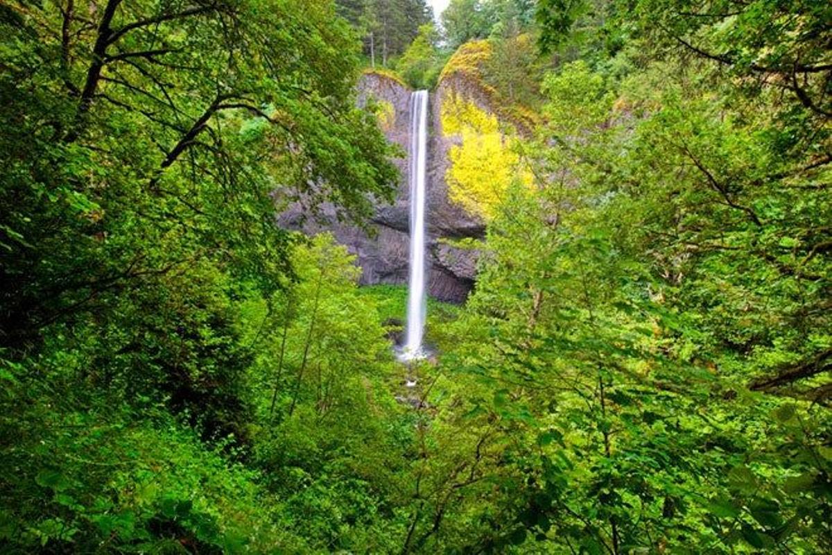 La cascada Latourell pertenece al río Columbia, en Oregón (EE.UU).