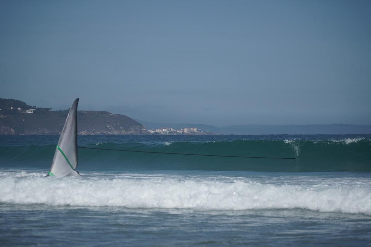 Rescate de la ballena varada en Arteixo