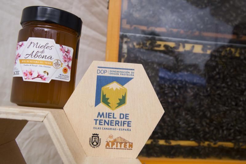 XIV Feria de la Miel en El Sauzal (Tenerife)|23-11-2019|Fotógrafo: Delia Padrón