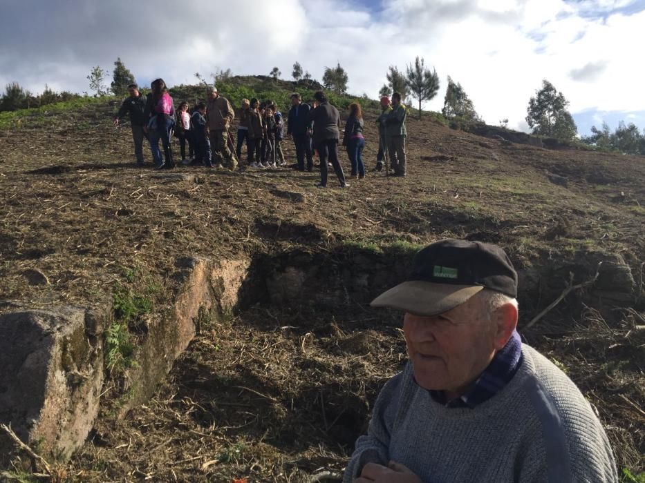 Escolares de Camos repueblan el monte