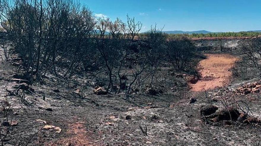 El entorno de Viver ha sufrido los embates del fuego.