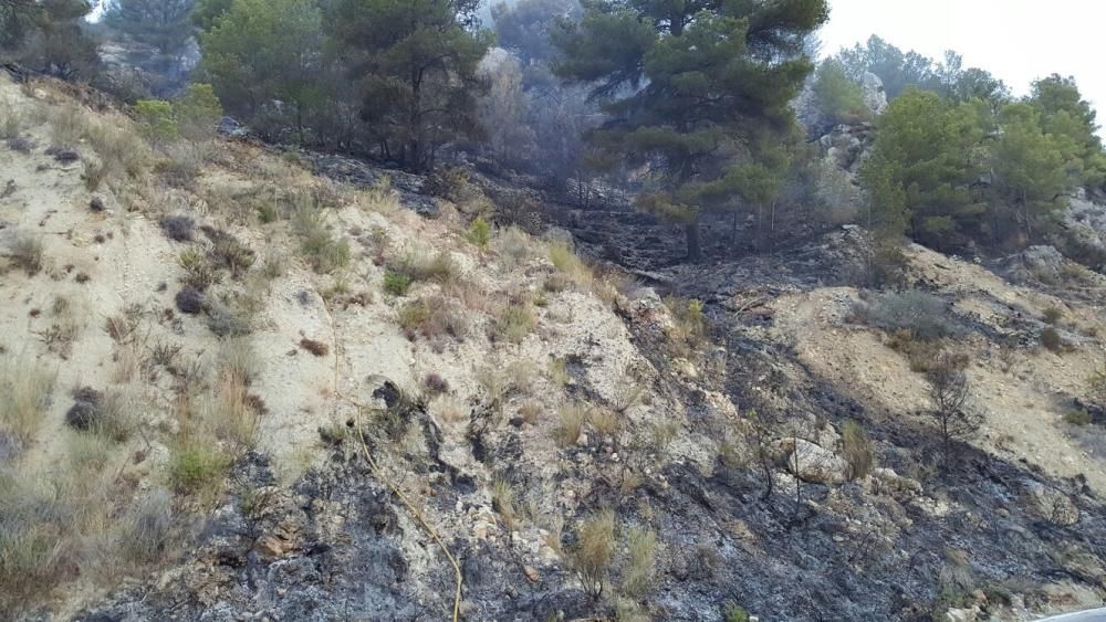 Controlado un incendio forestal en Bolulla