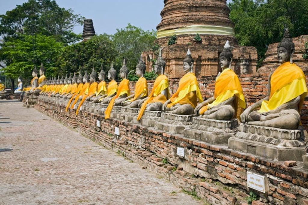Ayutthaya,Tailandia  Esplendor y caída de un reino    Tiene el brillo mustio de una vieja gloria, el aura melancólica de un reino venido a menos. Porque así ha sido su historia. Ayutthaya, fundada en 1350 por el rey Ramathibodi I (el afamado U Thong), fue la capital de Tailandia cuando ésta se llamaba Siam, una de las ciudades más prósperas del sureste asiático y uno de los principales centros mercantiles de Oriente. Cuatro siglos, 33 reyes y diferentes dinastías recorrieron este reinado que sucumbió ante la barbarie de Birmania (actual Myanmar), que en 1767 incendió y devastó la ciudad, decapitando muchas estatuas budistas. Con ello llegó el fin del esplendor. Hoy, pasear a pie o en bicicleta por Ayutthaya, cuyo nombre significa ciudad impenetrable, es hacerlo por el glamour restante de aquella época vanidosa y exótica, cuando este bello rincón, asentado en la confluencia de tres ríos Chao Phraya, Lop Buri y Pasak, quedaba rodeado por el agua, convertido en una isla a la que se había vertebrado de canales para favorecer la comunicación interna (se bautizó, en consecuencia, como la Venecia de Oriente).  De sus wat o templos tan profusamente ornamentados que en su día causaron admiración quedan en la actualidad ruinas integradas en el Parque Histórico de Ayutthaya, Patrimonio de la Humanidad. Entre ellos, el Wat Phra Si Sanphet, con sus tres grandes chedis o estupas alineadas; el Wat Yai Chaya Mongkol, con su hilera de Budas cubiertos de túnicas naranjas; el Wat Lokayasutharam, con la gran escultura de Buda reclinado de 37 metros de largo; y el palacio Viharn Phra Mongkol Bophit, semejante al de Bangkok, que aloja de nuevo un colosal Buda, esta vez dorado y sentado sobre una base inmensa.  Pero si hay una imagen que identifica el recinto de Ayutthaya, es la que pertenece al Wat Mahatat: la cabeza de un Buda de piedra aprisionada por las raíces de un ficus, congelada en su expresión de ironía, tal vez anticipando el triste destino de uno de los enclaves más mágicos de Tailandia.  No te lo pierdas  Ayutthaya desde una barcaza de arroz antigua. Es otra opción para explorar los templos históricos desde el agua. En el embarcadero que hay al otro lado del palacio se pueden alquilar botes para dar una vuelta por los canales. Pero más encantador resulta realizar un minicrucero de dos o tres días en una pintoresca embarcación, con salidas desde el recinto o incluso desde Bangkok a través del río Chao Phraya. La entrada en la ciudad histórica resulta espectacular. www.asian-oasis.com