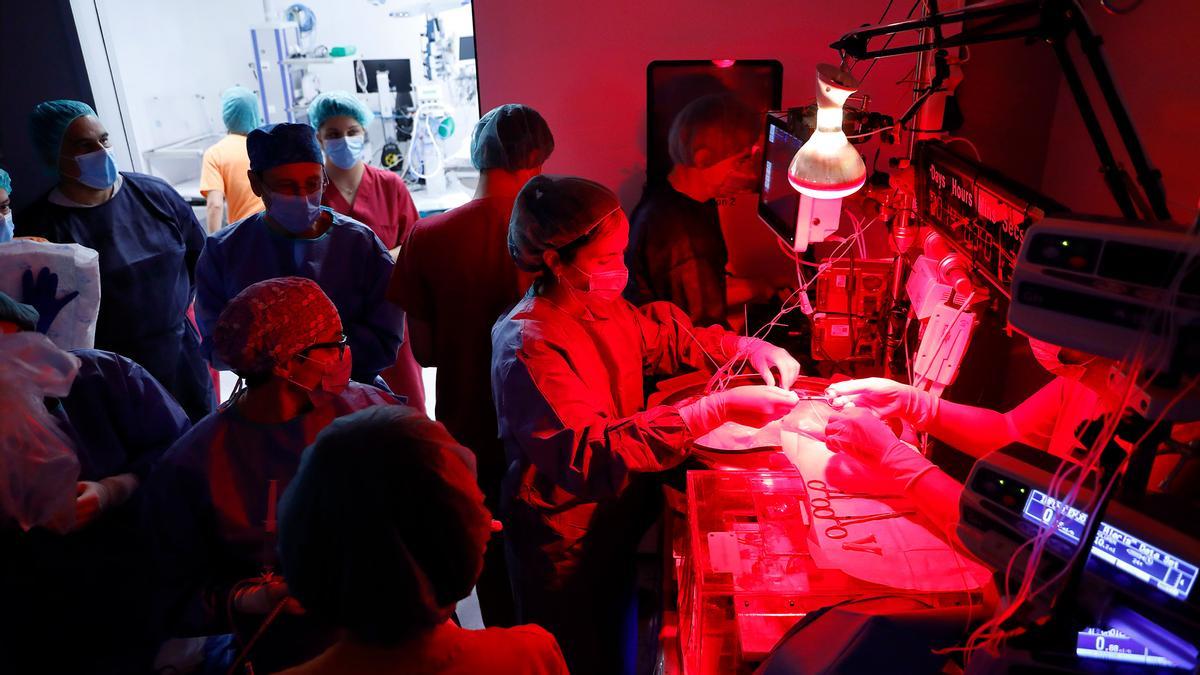 El equipo de BCNatal prepara de sistema para la transicin neonatal.