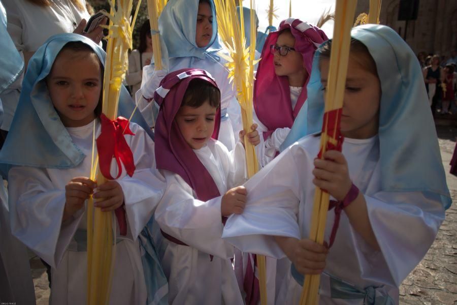 Semana Santa en Zamora: La Borriquita