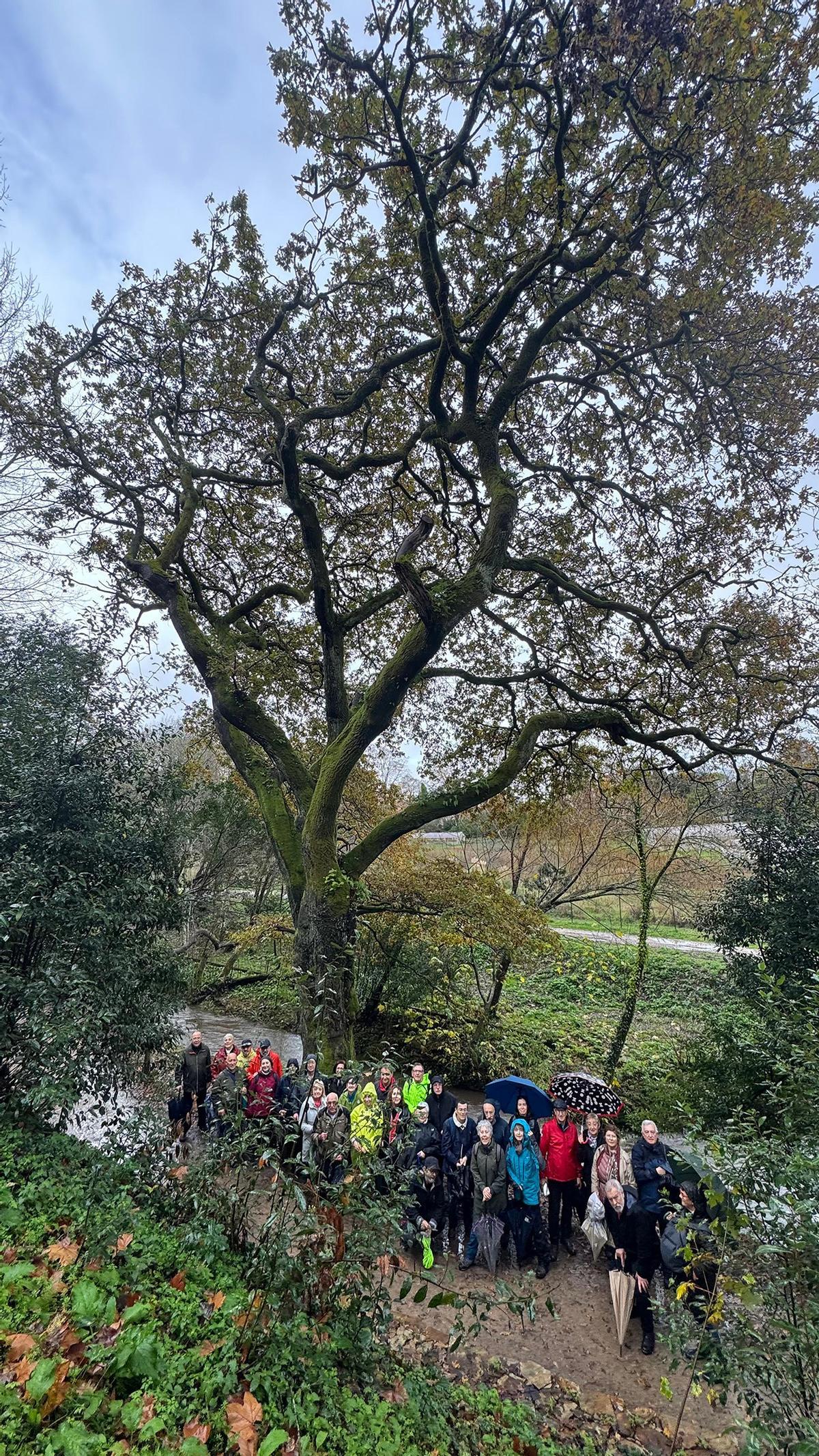 El Club de senderismo de Alumni USC, durante la ruta realizada esta semana