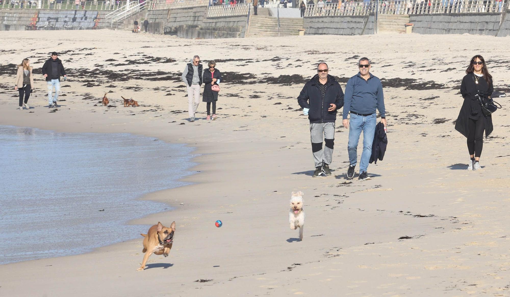 Vigueses y mascotas disfrutan del buen tiempo en Samil