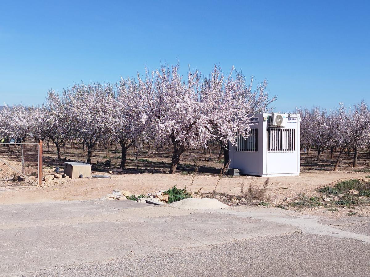 Ubicación donde van a construir el proyecto de planta de biometano en Llíria.