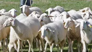 COAG negocia la inclusión de una asignatura sobre cultura agroalimentaria en centros de Castilla y León