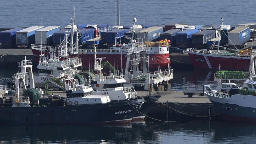 Barcos de la flota pesquera coruñesa y camiones en el muelle de Oza. | M. Dylan/E.P.
