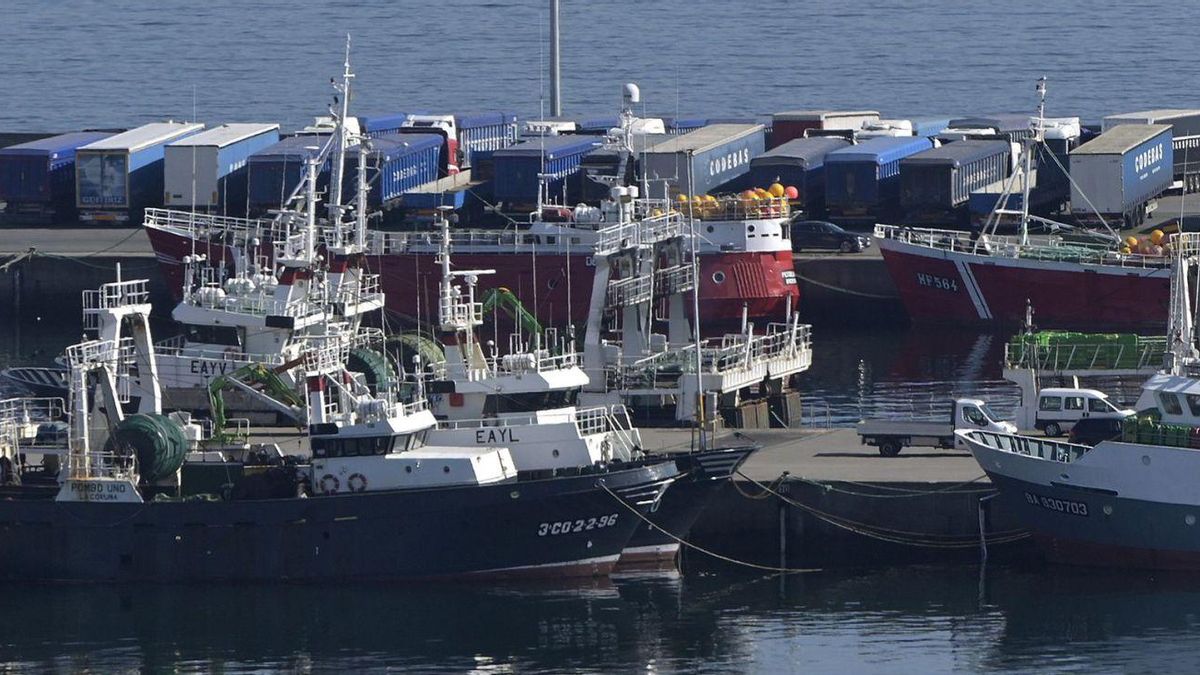 Barcos de la flota pesquera coruñesa y camiones en el muelle de Oza.