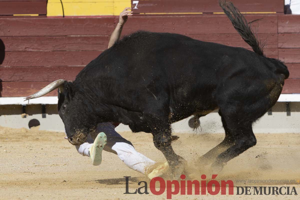 Final del campeonato de España de Recortadores celebrado en Castellón (primeras eliminatorias)